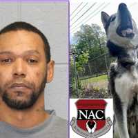 <p>Emanuel Pizarro-Boria and Justice the Husky after he was found with a chain embedded in his neck.</p>