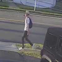 <p>The wanted suspect in Fairfax County.</p>