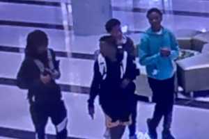 Seen 'Em? Teens Punch Employees At East Garden City Mall, Police Say