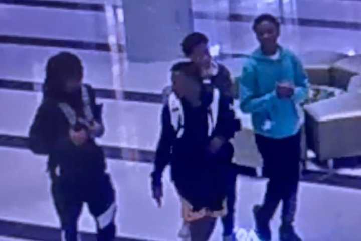 Seen 'Em? Group Punches Employees At Long Island Mall, Police Say