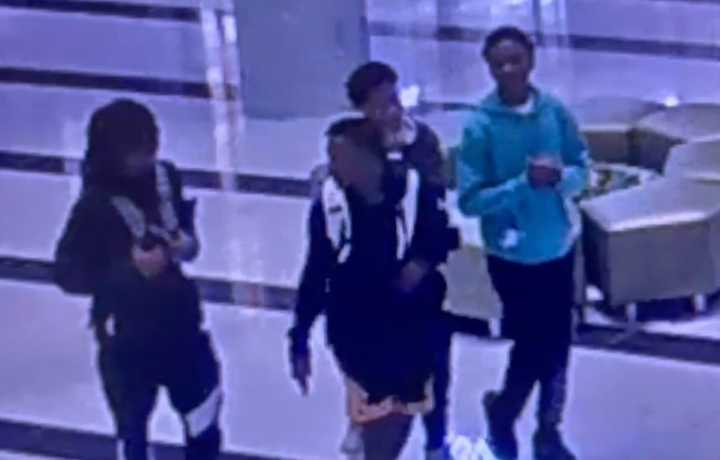 Police are searching for these four, who allegedly punched two teens working at a mall kiosk in East Garden City.