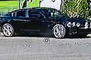 CT Resident Shot At Confronting Car Thief In Broad Daylight, Police Say