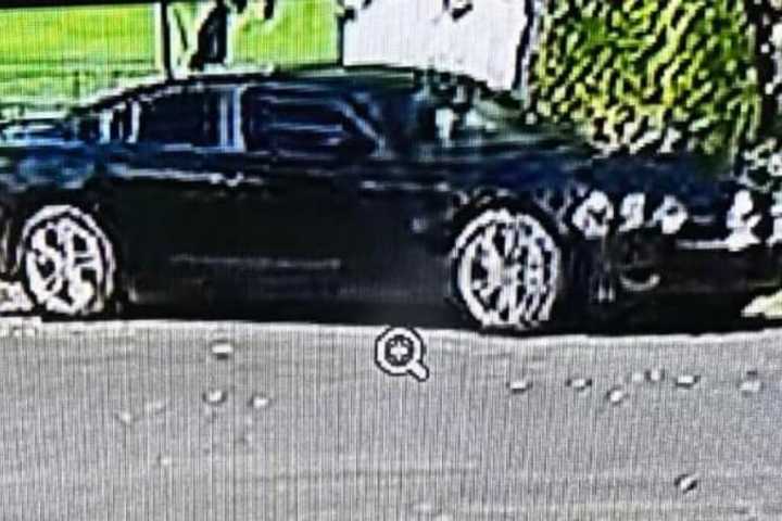 CT Resident Shot At Confronting Car Thief In Broad Daylight, Police Say