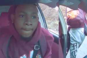 Man Arrested For Carjacking Rideshare Driver Who Wouldn't Let Dog Come For The Trip In DC: MPD
