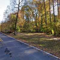 <p>Sligo Creek Parkway</p>