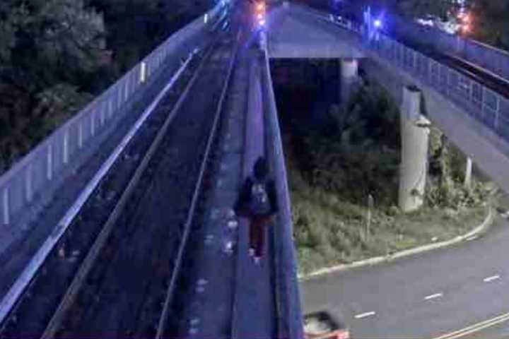 Fare Evader Takes Walk On The Wild Side Along Metro Train Tracks