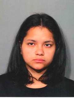 Northern Westchester Woman Nabbed For 'Cruelty To Persons'