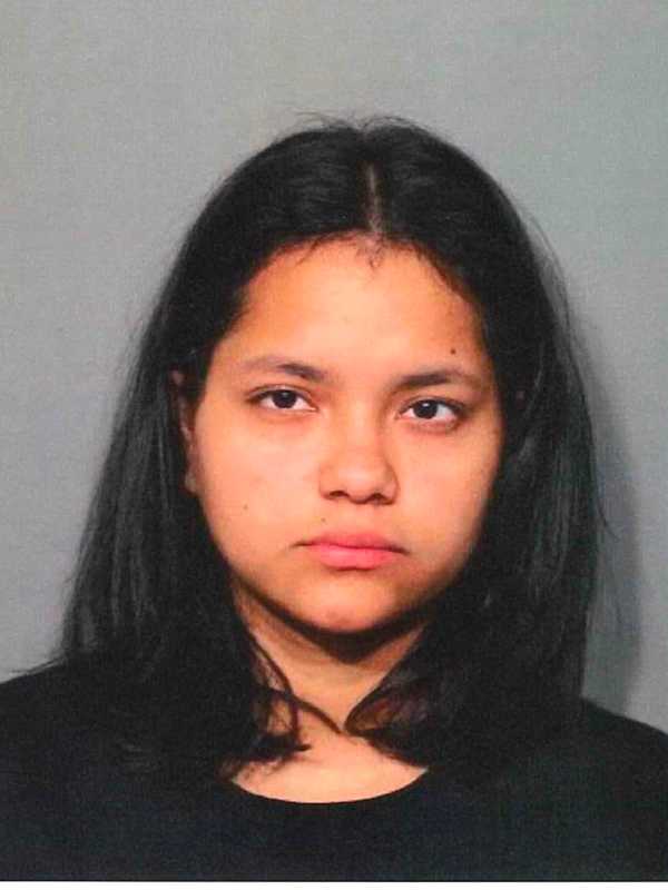 Westchester Woman Nabbed For 'Cruelty To Persons'