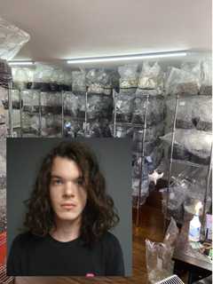 $8.5 Million Psychedelic Mushrooms Found In CT Grow House, Police Say