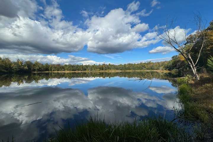 ‘This Is Our Legacy:’ 1,150-Acre Nature Preserve Debuts In New Jersey