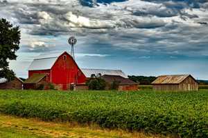 'Carbon Monoxide Toxicity' Kills 5-Year-Old Boy On PA Farm, Coroner Says