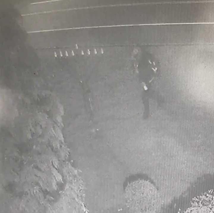 Nassau County Police are searching for this man, who was caught on video damaging a menorah on Nassau Boulevard.&nbsp;