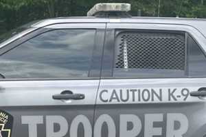 6-Year-Old Girl Sexually Assaulted In North Whitehall Township, Welfare Check Reveals: PSP