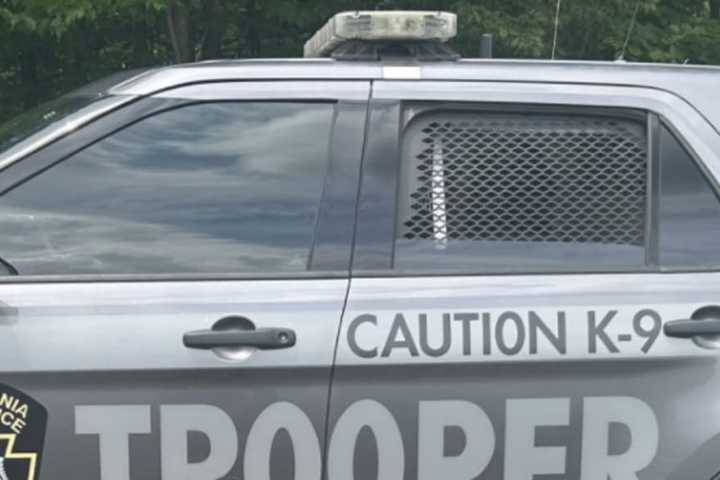 6-Year-Old Girl Sexually Assaulted In North Whitehall Township, Welfare Check Reveals: PSP