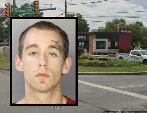 Convicted Felon Going 120 MPH Hits Wendy's Fleeing State Police ...