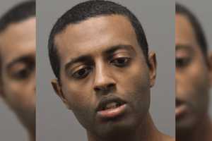 Dog Euthanized After Being Stabbed By Man In Virginia, Police Say