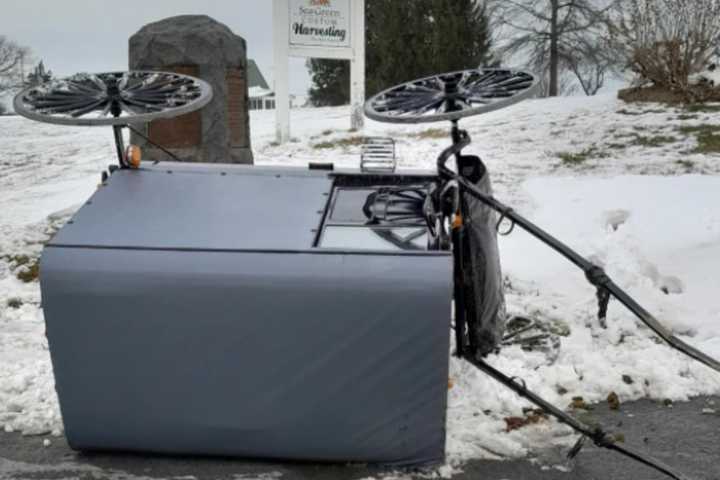 Horse Striking Vehicle Causes Amish Buggy Crash In Quarryville: Authorities