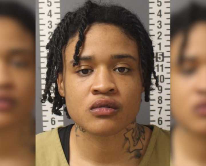 Shyanna Starr B McNeil who fled from Harrisburg police at speeds over 100 miles per hour while wanted in Montogomery, PA, court documents detail.