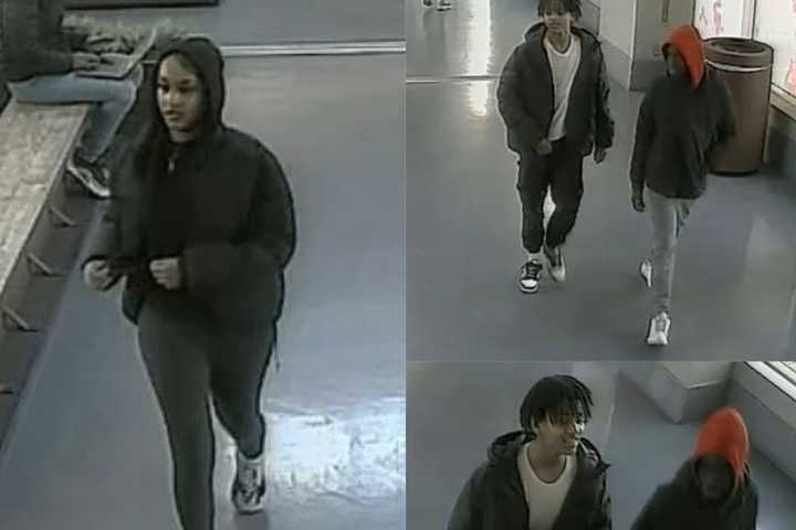 Group Wanted For Phone Store Robbery At Maryland Mall, Police Say