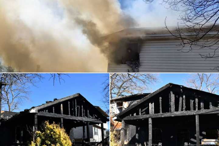 Pets Rescued From Pasadena Fire That Gutted Anne Arundel County Home