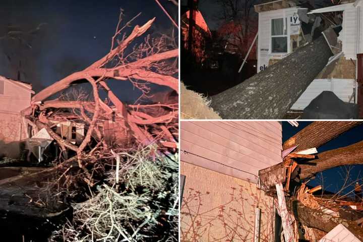 Family Displaced After Tree Falls On 2-Story Montgomery County Home