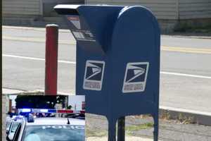 Duo From Region Nabbed For Stealing Checks Worth $130K From Post Office Boxes, Police Say