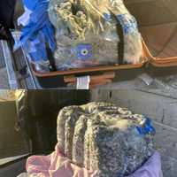 <p>The recovered pot at Dulles International Airport.</p>