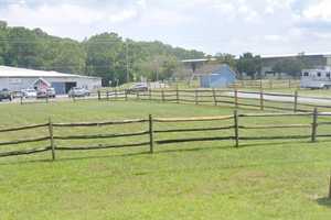 Petitions Circulating, Donations Pouring In For Closing Potomac Horse Center