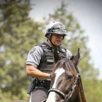 <p>Officer Eric Lukacs and his partner, mounted police force horse, Liam.</p>