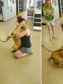 PA Woman Has Emotional Reunion With Lost Dog At Lehigh County Humane Society