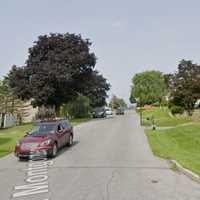 Dog Shot, Killed In Yard Of Lehigh Valley Home; Shooter Sought By Police