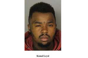 Three Charged In 'Horrific' Burning, Beating Of Dog In Newark