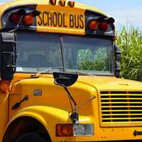 <p>A school bus driver shortage impacted one of Connecticut&#x27;s largest districts.</p>