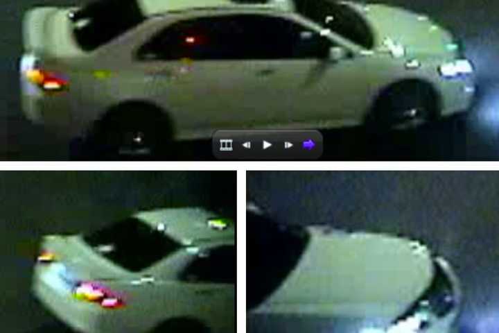 Allentown Police Seek Driver In Deadly Hit-Run