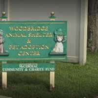 Rahway Man Abandoned Cats In Roselle Park Home: Police