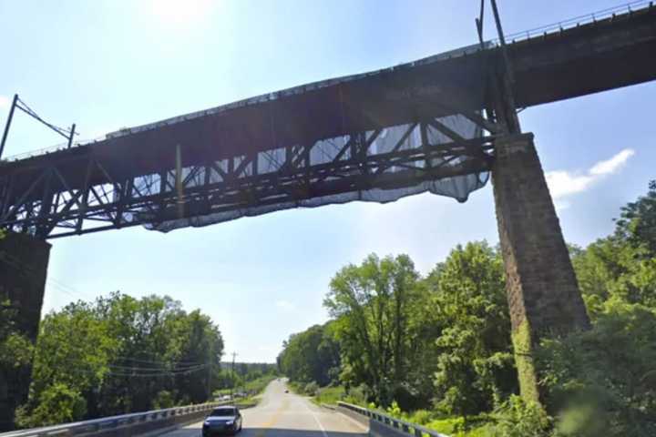 Search Underway For Philly Area Bridge Jumper