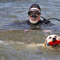 <p>Search and rescue dogs and their handlers participated in a water training.</p>