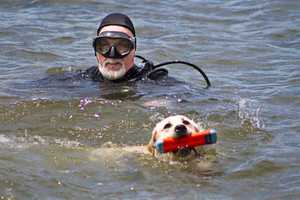 Search Dogs Descend On Ringwood Reservoir For Training