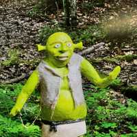 Some Ogre Stole 200-Pound Shrek Statue From Hatfield: Police
