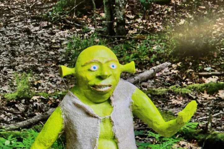 Some Ogre Stole 200-Pound Shrek Statue From Hatfield: Police