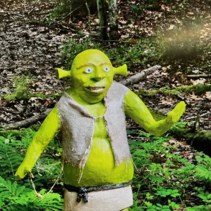 A 200-pound statue of Shrek was stolen from its home on Mountain Road earlier this week. The police are asking the public to help them find it.