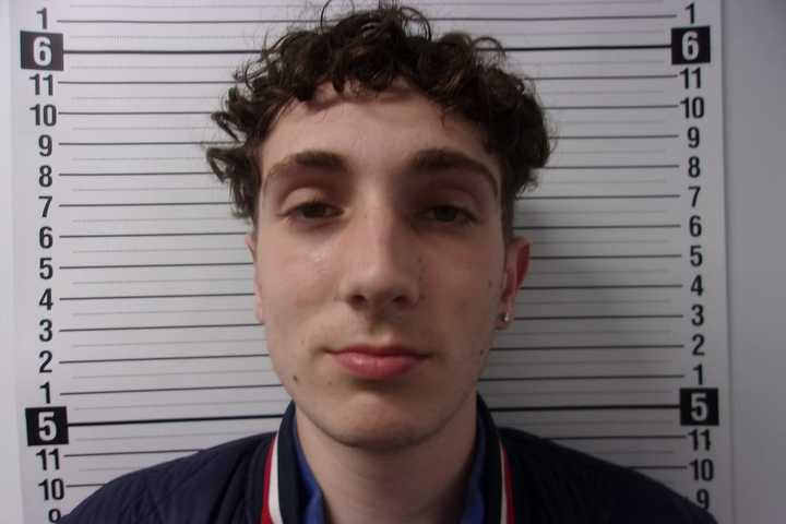 Hudson Valley Man Admits To Killing Bat Inside Cave