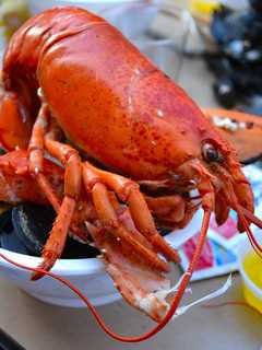 Your Foodie Bucket List: 11 Things To Eat In Westchester This Summer