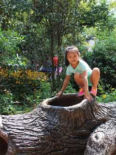 Cortlandt Family Wins Fresh Air Fund Photo Contest