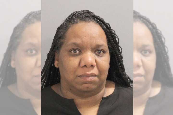 Nicole Simeona, age 43 of Freeport, was arrested on Wednesday, Sept. 6 for stealing over $350,000 total from her employer, using company credit cards, police said.