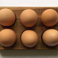 <p>Eggs</p>