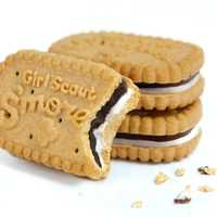 <p>Oh, no. The S'more cookie is being phased out this year.</p>