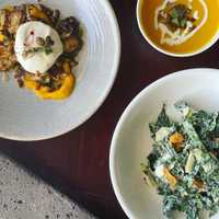 <p>Butternut squash purée, flash fried Brussels, and fresh Burrata is topped with a drizzle of hot honey.</p>