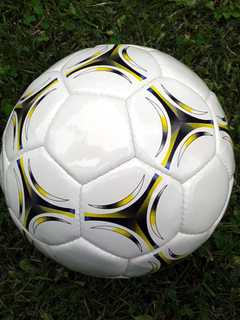 Nyack Middle School Is Looking For Playground Balls