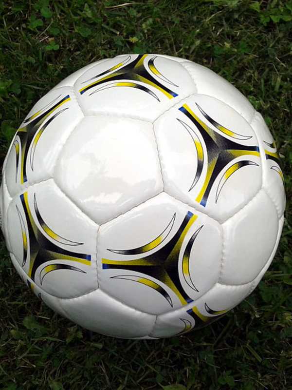 Nyack Middle School Is Looking For Playground Balls